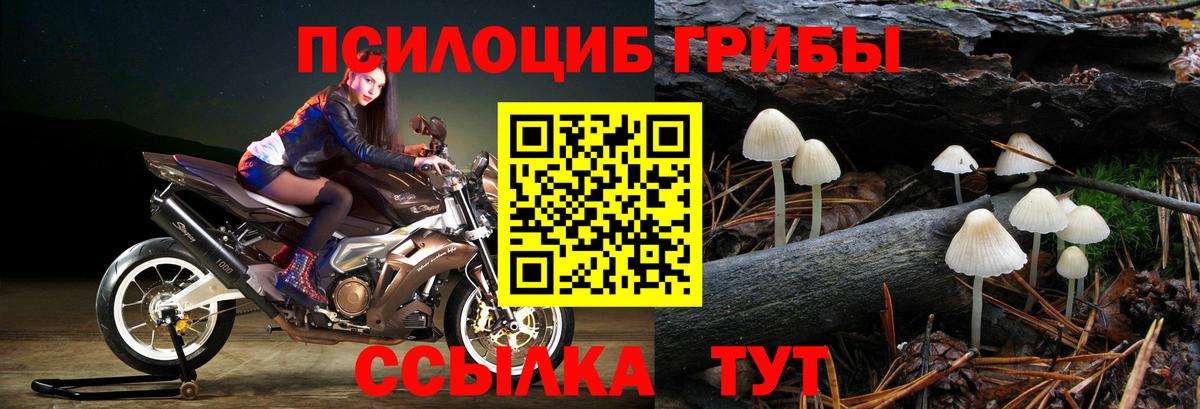 Лыткарино  Галлюциногенные грибы ЛСД  Галлюциногенные грибы прущие грибы  что такое   Вход с VPN 